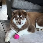 Patti Beck Cook - @patticook6483 - Instagram