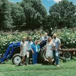 Patti Cook - @patti.cook31922 - Instagram