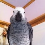 Patti Cook - @patti_426 - Instagram