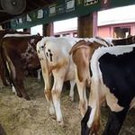 Patti Cook - @patti.cook.3979 - Instagram