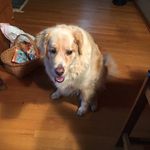 Patti Kelly Covington-Baker - @patticovingtonbaker - Instagram