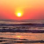 Patricia Crowley Wirth - @patticrowleywirth - Instagram