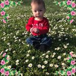 Patti S - @patticunninghamschlegel - Instagram