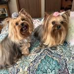 Patti Day-Backman - @pattidaybackman - Instagram