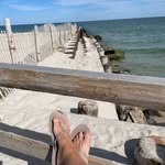 Patti DeWitt - @monkey_p_patti - Instagram