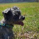 Pattie Frith DeWitt - @pattiedewitt - Instagram