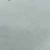 Patty DeWitt - @patty.dewitt - TikTok