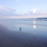 Patti Dillon - @pattid37 - Instagram