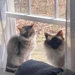 Patti Dodge - @dodgepatti - Instagram