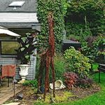 Patty J Dodge - @mookies_place - Instagram