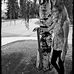 Patti Donovan - Facebook