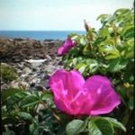 Patti Doyle - @patti.doyle.33 - Instagram