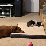 Patti Eaves - @patti.eaves - Instagram