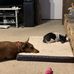 Patti Eaves - Facebook