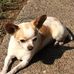 Patricia Ebert - Facebook