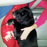 Patti Ebert - Feeney - @patti_ebert_feeney - Instagram