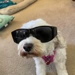 Patti Eckert - @peckert6262 - Instagram
