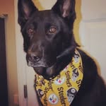 Patty Eckert - @pat10550 - Instagram