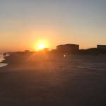 Patty Eckert Miller - @pattyemiller - Instagram