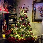 Patti Gaspari Ehrhardt - @ehrhardt.patti - Instagram