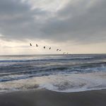 Patty Estes - @patty.estes.5 - Instagram