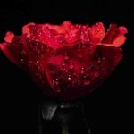 Patti Ewing - @pattiewing68 - Instagram