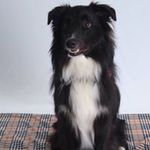 Patti Welch Ewing - @pattiwelchewing - Instagram