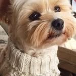 Patti Fenner - @fennerpatti - Instagram