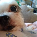Patti Bursley Fenwick - @pattibursley - Instagram