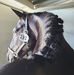Patti Fenwick - Facebook