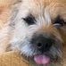 Patty Fenwick - Facebook