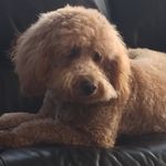 Patty Fielding - @pattyfielding - Instagram
