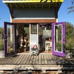 Patti Harmon - @miss_dahlias - Instagram