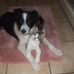 Patty Hauser - Facebook