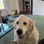 Patti Hayes - @patti_hayes02 - Instagram