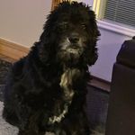 Patty Heard - @heardpatty - Instagram