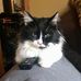Patti Hendricks - Facebook