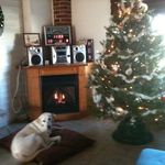 Patti Pruitt Henry - @pkakes1168 - Instagram