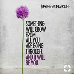Patti Herbert - @patti.herbert.735 - Instagram