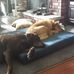 Patti Goodas Herman - Facebook