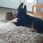 Patti Herman - @pawh818 - Instagram