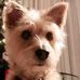 Pattie Herman - Facebook