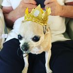 Patti Herrera Kinlein - @litabug58 - Instagram