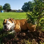Rick and Patti Hess - @hess_rickpatti - Instagram