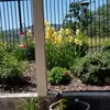Patsy Hester - @patsy.hester2 - TikTok