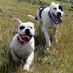Patti Hester - @pattih104 - Instagram