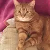 Patti Hester - @patti.hester - TikTok