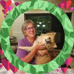 Patti Higgins - @pahmah47 - Instagram