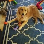 Patti Higgins - @higgins.patti - Instagram