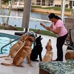 Patti Higgins - @lmbbakingco - Instagram